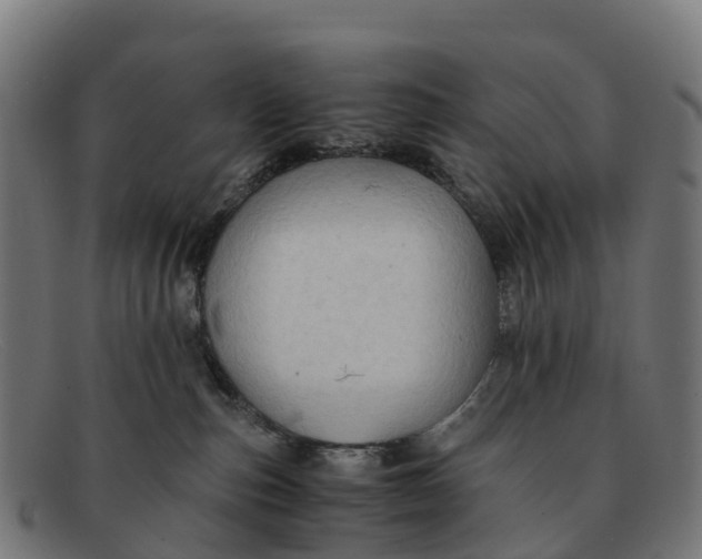 X0000091650187200709131458