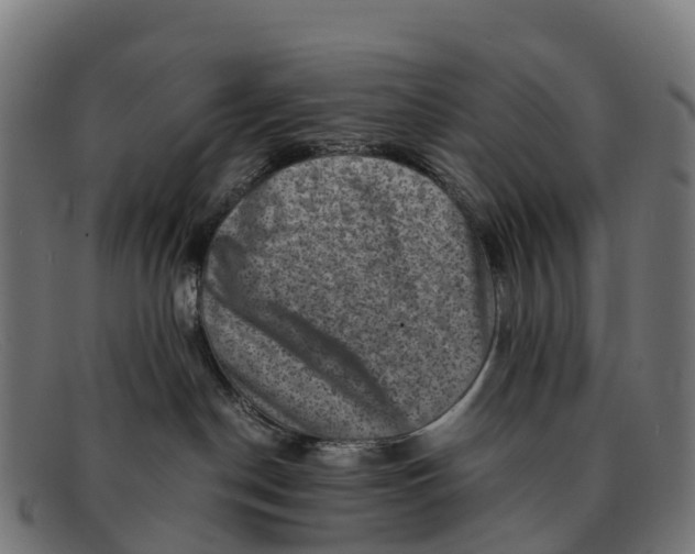 X0000091650190200709131458