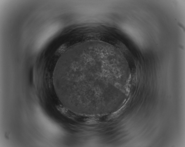 X0000091650191200709131458