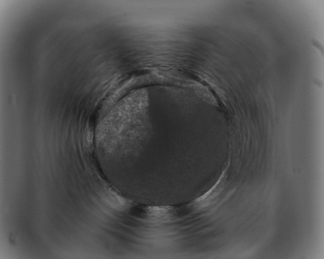 X0000091650192200709131458