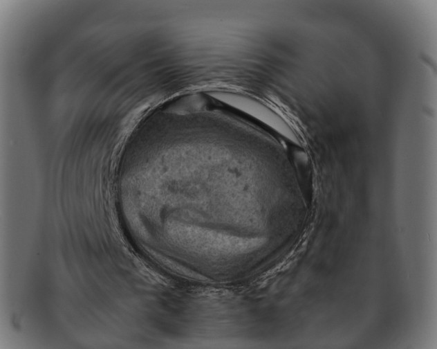 X0000091650193200709131457