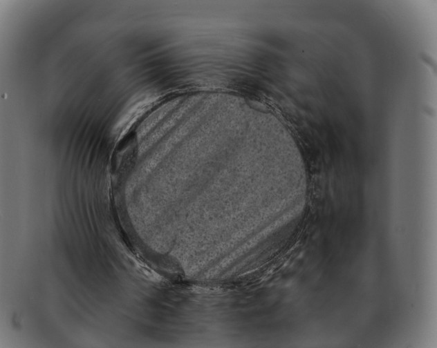 X0000091650194200709131457