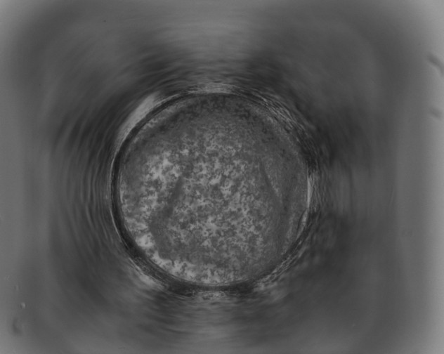 X0000091650195200709131457