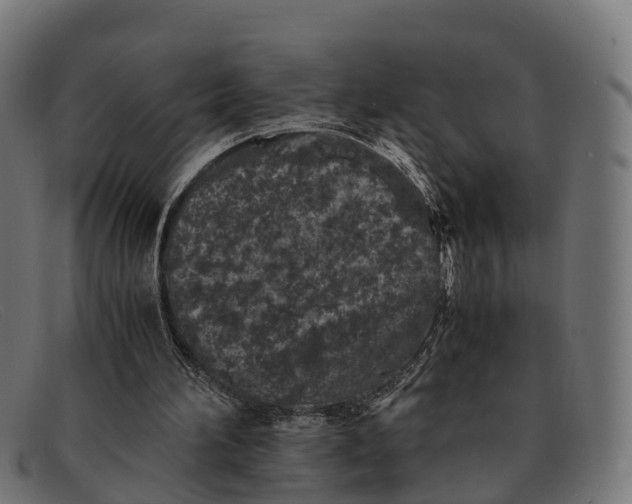 X0000091650196200709131457