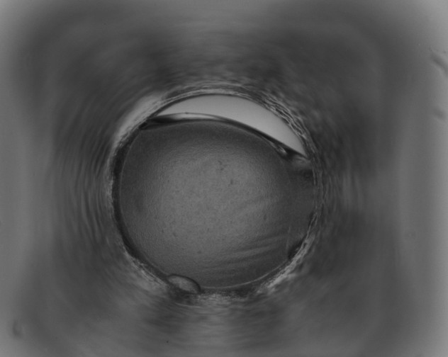 X0000091650197200709131457