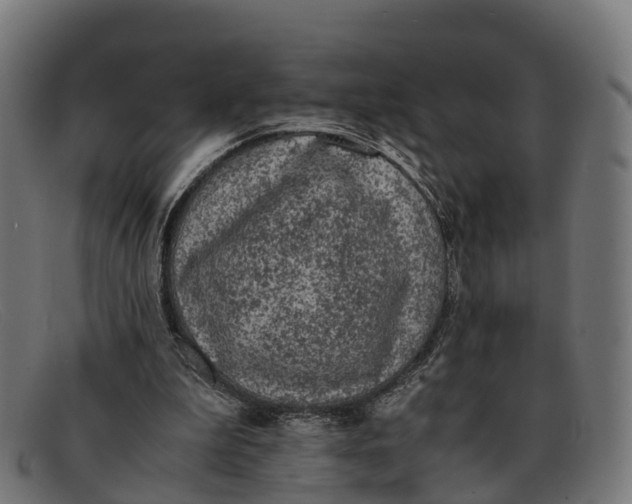 X0000091650199200709131457