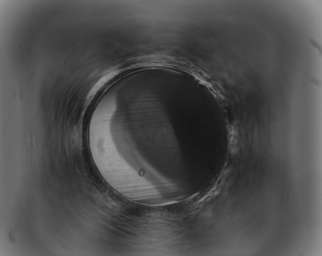 X0000091650200200709131457