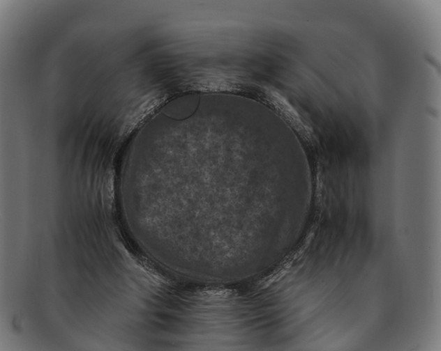 X0000091650202200709131457