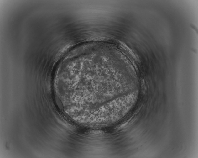 X0000091650203200709131457