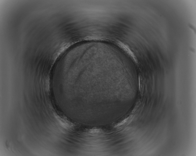 X0000091650204200709131457