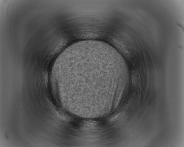 X0000091650206200709131457