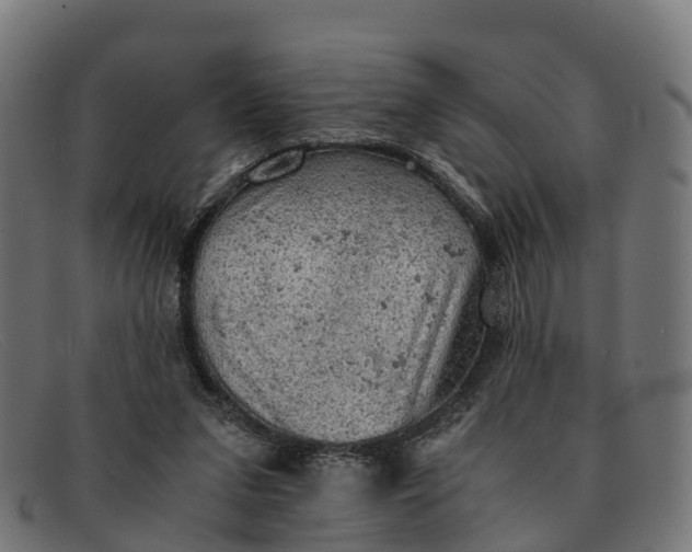 X0000091650207200709131457