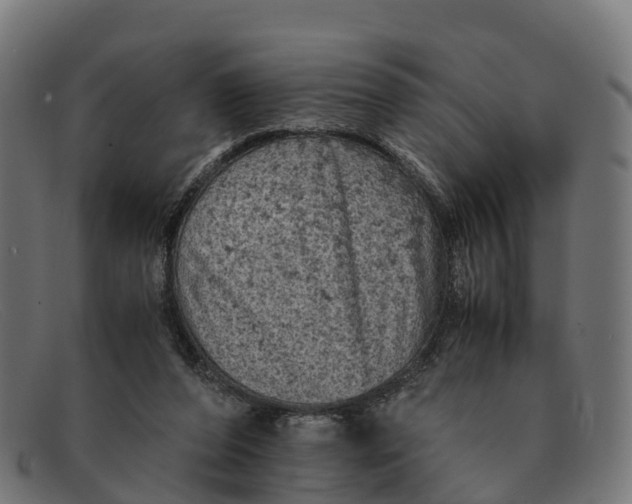 X0000091650208200709131457