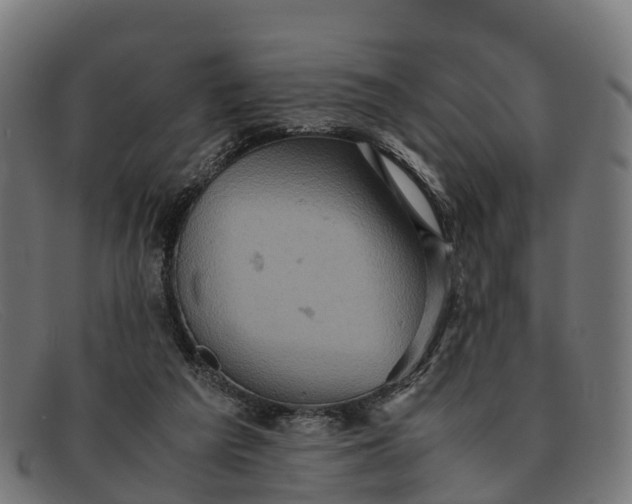 X0000091650209200709131457