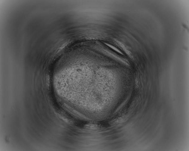 X0000091650211200709131457