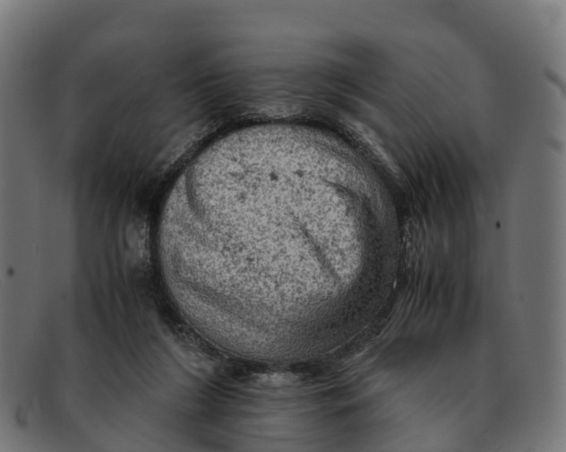 X0000091650212200709131457