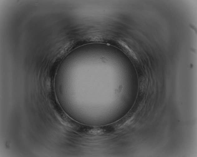 X0000091650213200709131457