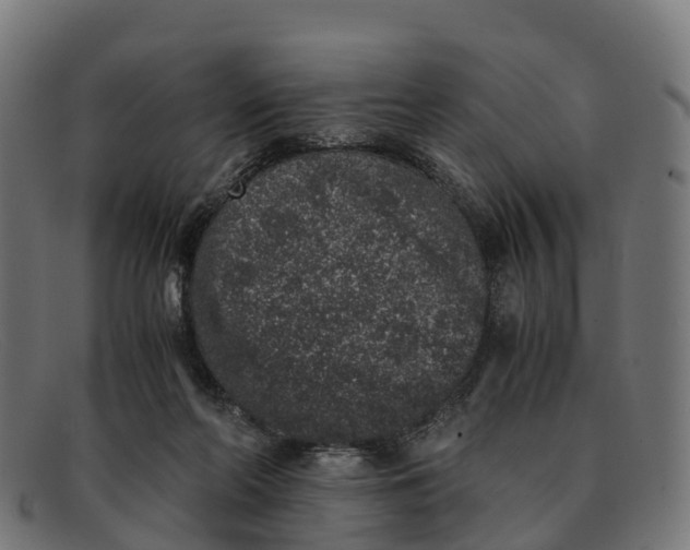 X0000091650214200709131457