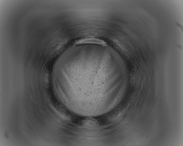 X0000091650215200709131457