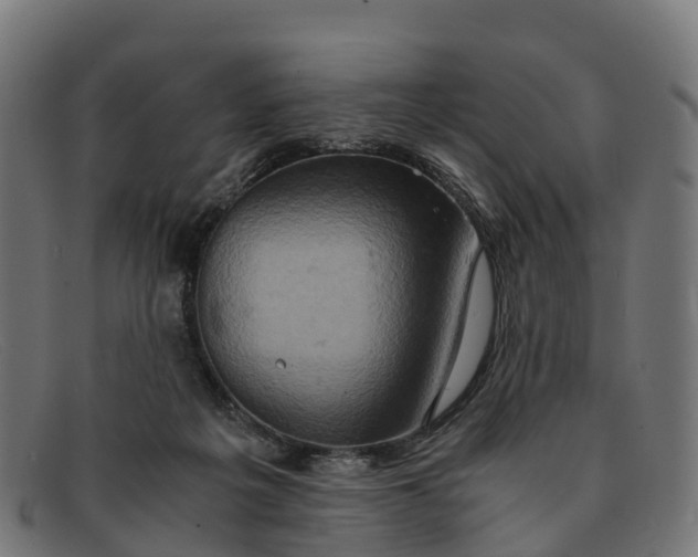 X0000091650217200709131457