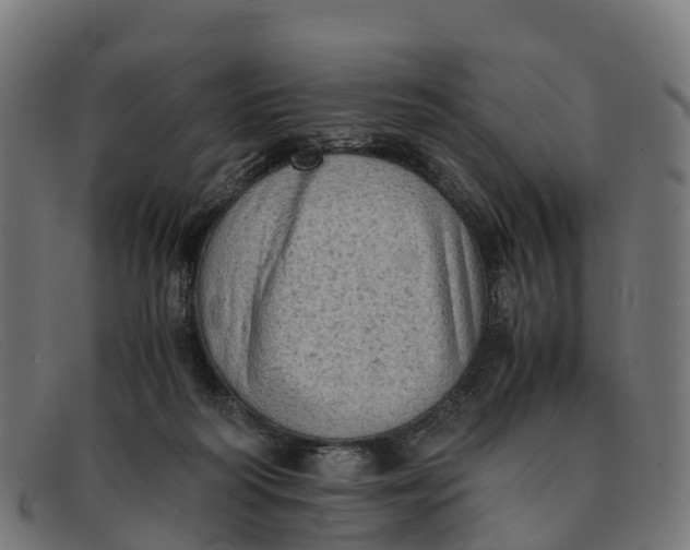 X0000091650218200709131457