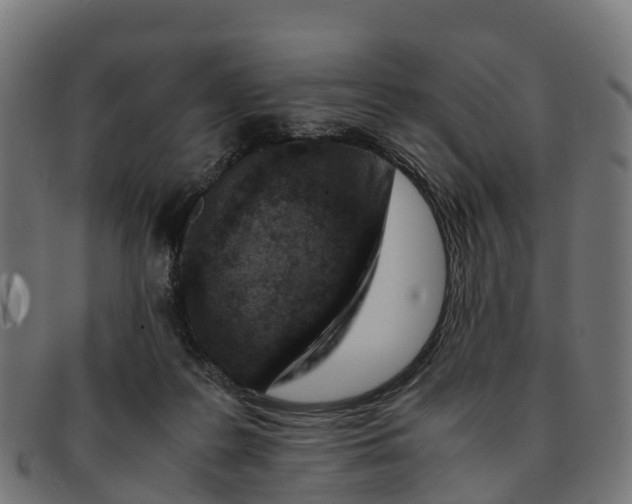 X0000091650219200709131457