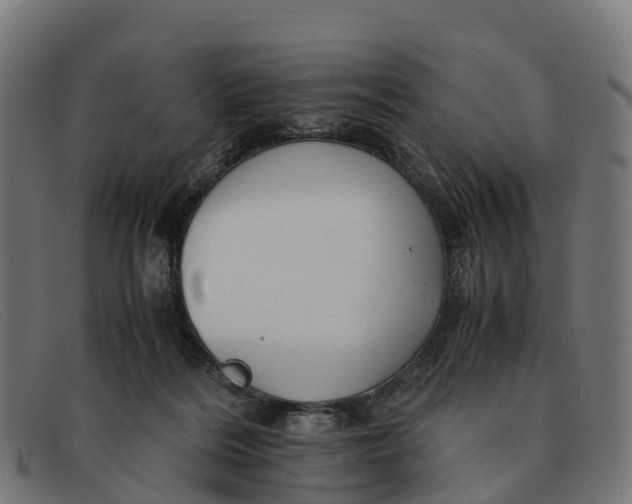 X0000091650220200709131457