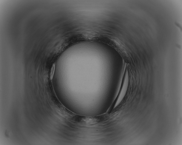 X0000091650221200709131457