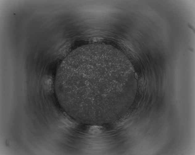 X0000091650222200709131457