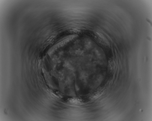 X0000091650223200709131457