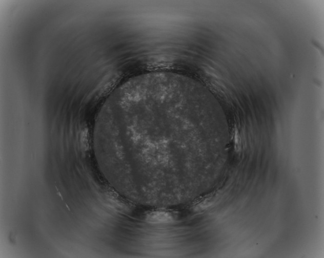 X0000091650224200709131457