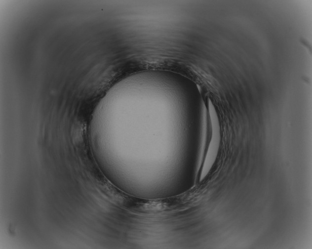 X0000091650225200709131457