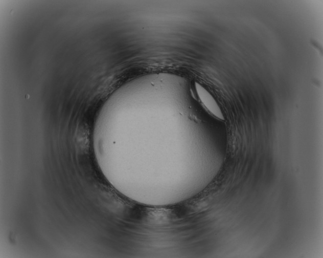 X0000091650226200709131457