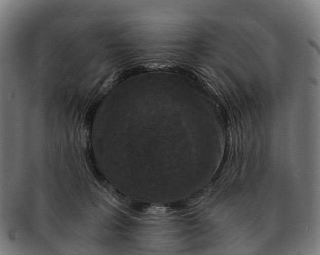 X0000091650227200709131457