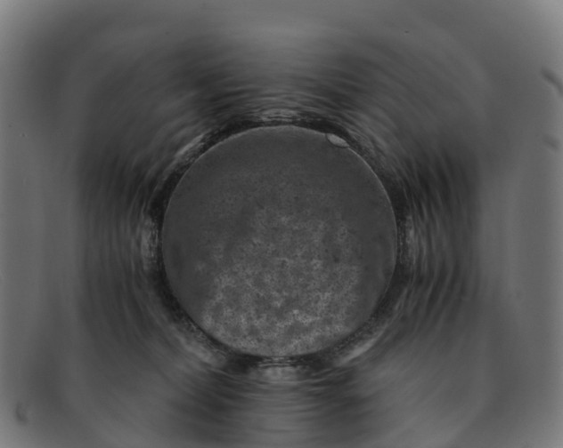 X0000091650228200709131457