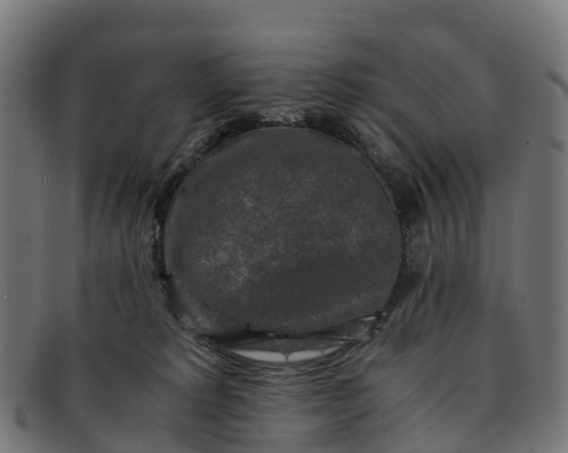 X0000091650229200709131457