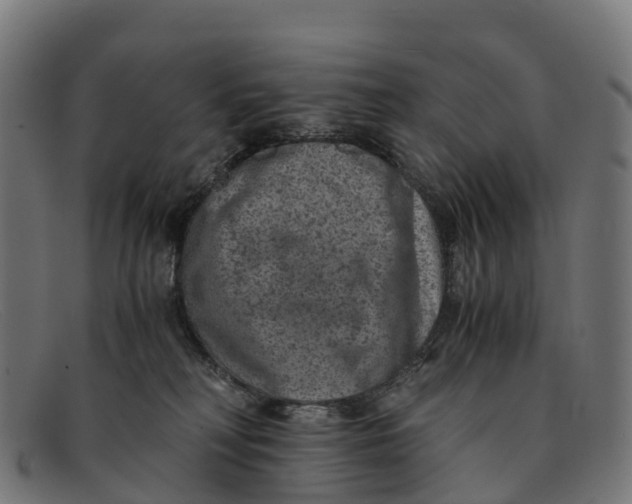 X0000091650230200709131457