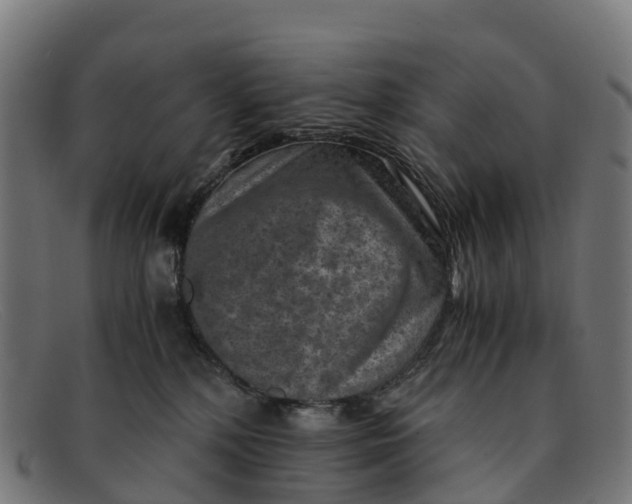 X0000091650232200709131457