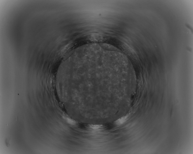 X0000091650233200709131457