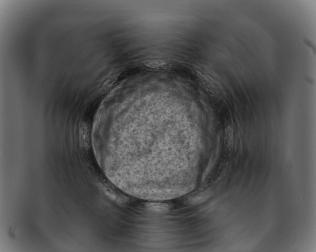 X0000091650234200709131457