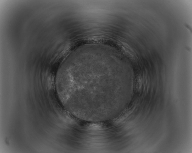 X0000091650236200709131457