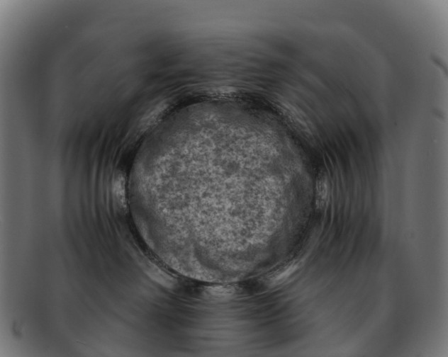 X0000091650238200709131457