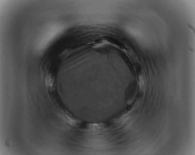 X0000091650239200709131457