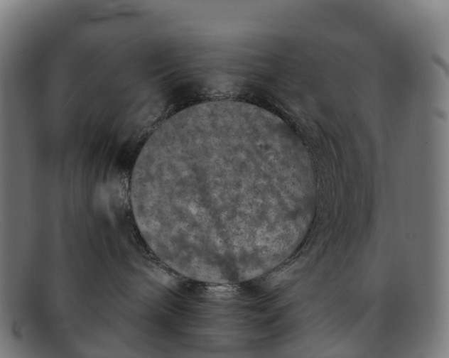 X0000091650240200709131457