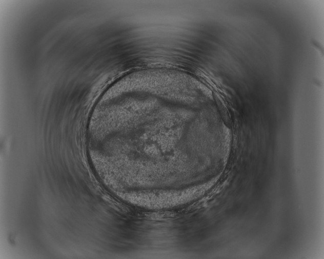 X0000091650241200709131456