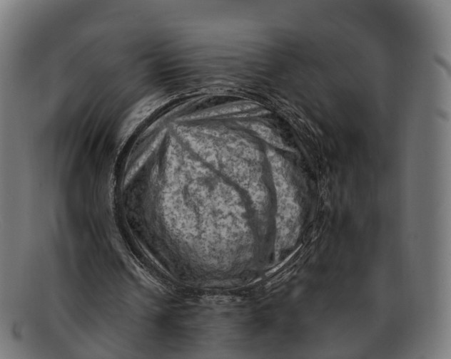 X0000091650242200709131456