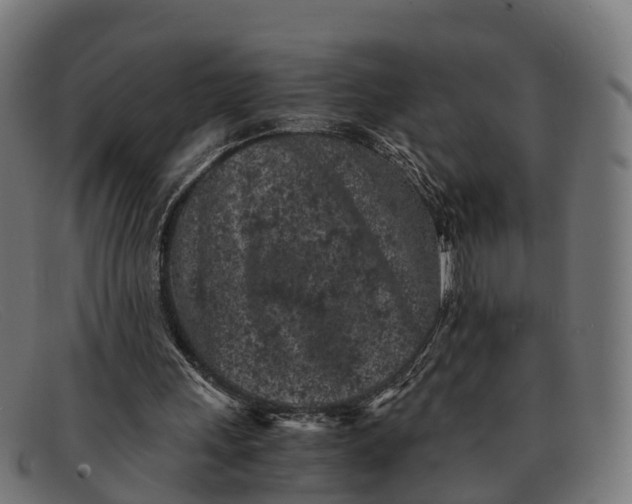 X0000091650243200709131456