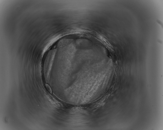 X0000091650244200709131456