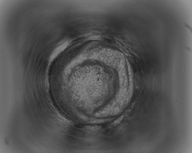 X0000091650245200709131456