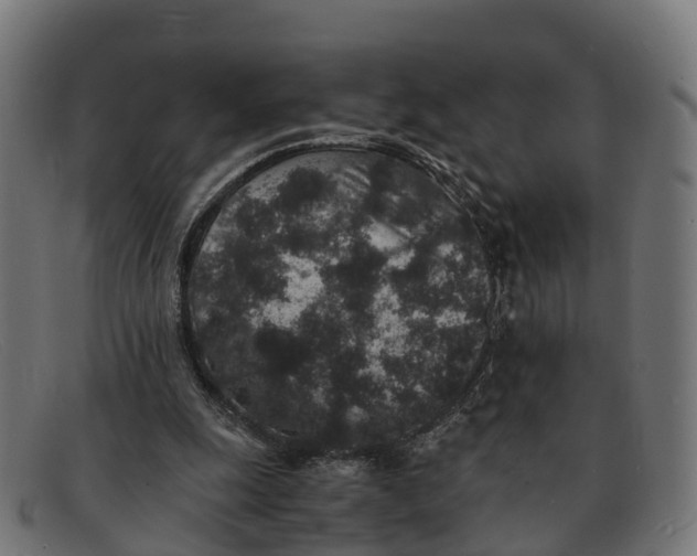 X0000091650247200709131456